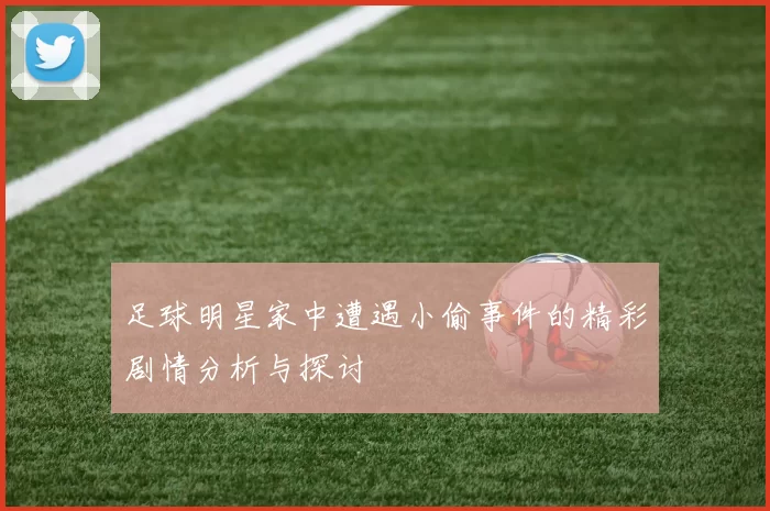 足球明星家中遭遇小偷事件的精彩剧情分析与探讨