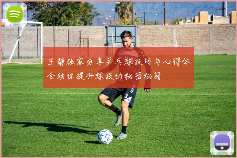 王静独家分享乒乓球技巧与心得体会助你提升球技的秘密秘籍