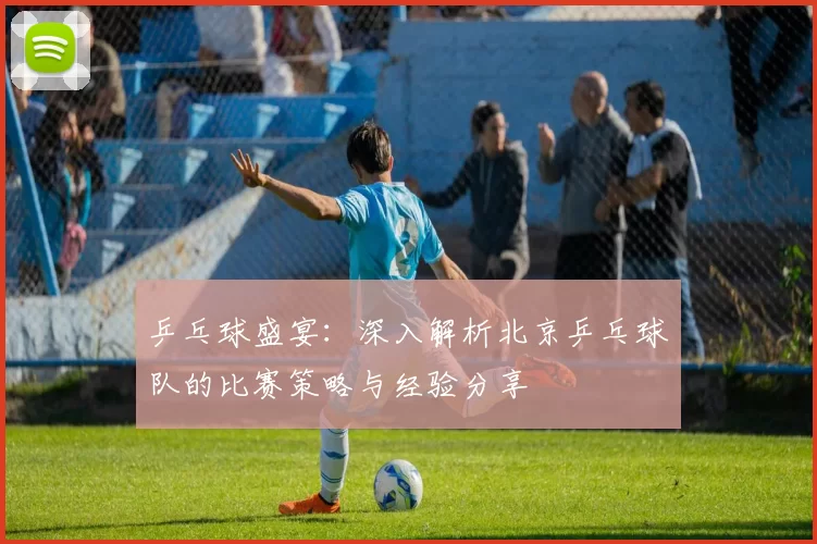 乒乓球盛宴：深入解析北京乒乓球队的比赛策略与经验分享