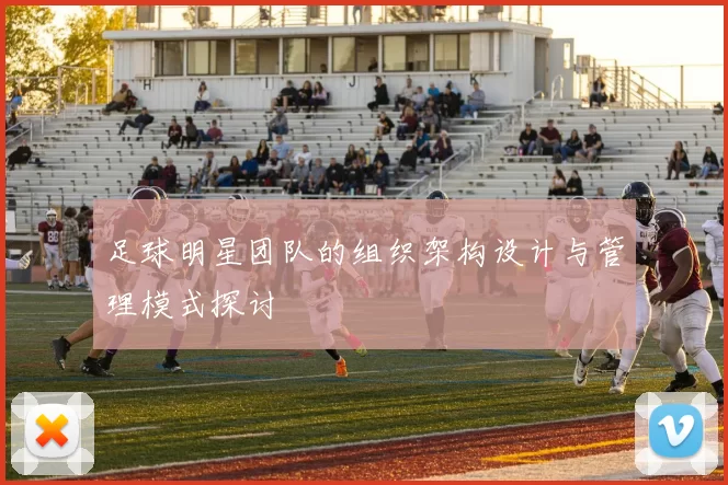 足球明星团队的组织架构设计与管理模式探讨