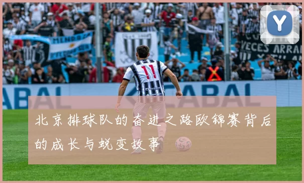 北京排球队的奋进之路欧锦赛背后的成长与蜕变故事