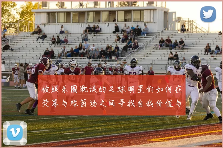被娱乐圈耽误的足球明星们如何在荧幕与绿茵场之间寻找自我价值与梦想
