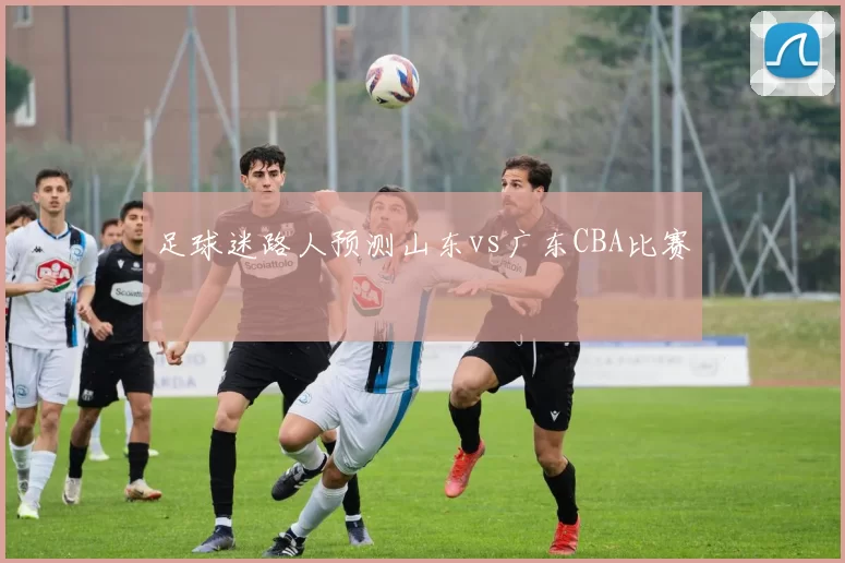 足球迷路人预测山东vs广东CBA比赛
