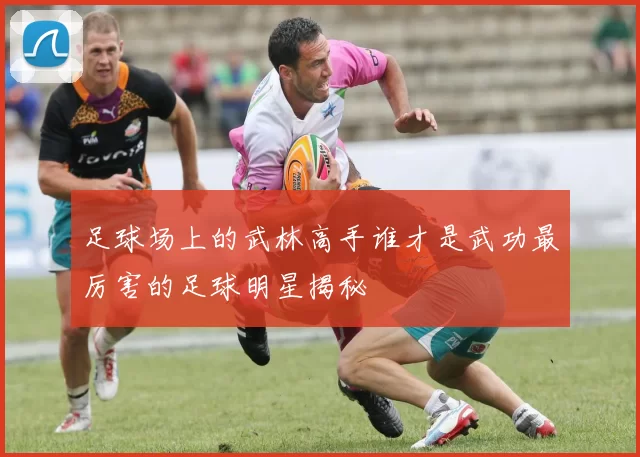 足球场上的武林高手谁才是武功最厉害的足球明星揭秘