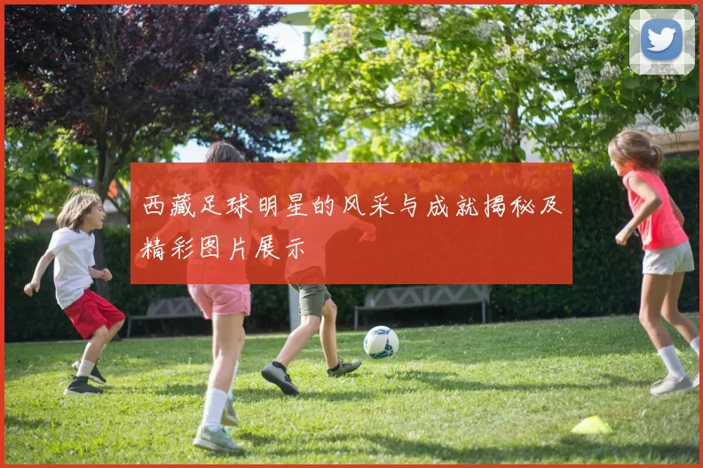 西藏足球明星的风采与成就揭秘及精彩图片展示