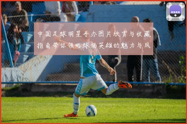 中国足球明星手办图片欣赏与收藏指南带你领略球场英雄的魅力与风采