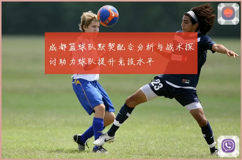 成都篮球队默契配合分析与战术探讨助力球队提升竞技水平