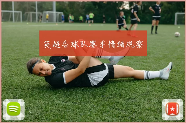 英超各球队赛季情绪观察