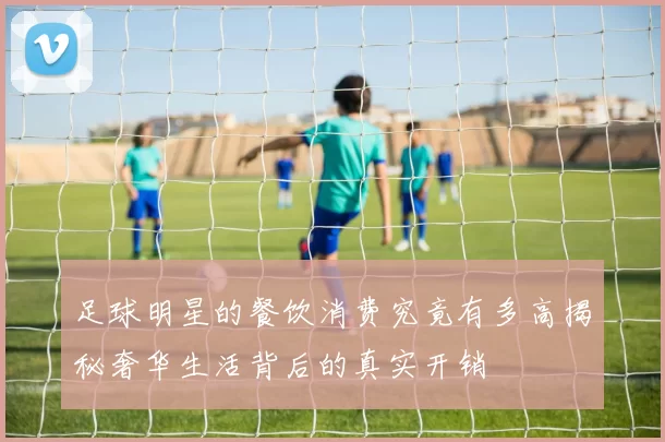 足球明星的餐饮消费究竟有多高揭秘奢华生活背后的真实开销