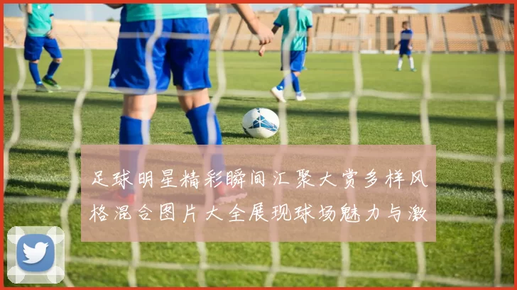 足球明星精彩瞬间汇聚大赏多样风格混合图片大全展现球场魅力与激情