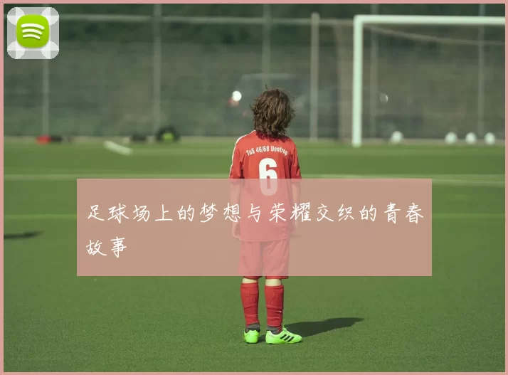 足球场上的梦想与荣耀交织的青春故事