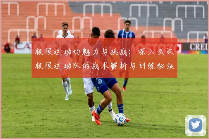 极限运动的魅力与挑战：深入武汉极限运动队的战术解析与训练秘诀