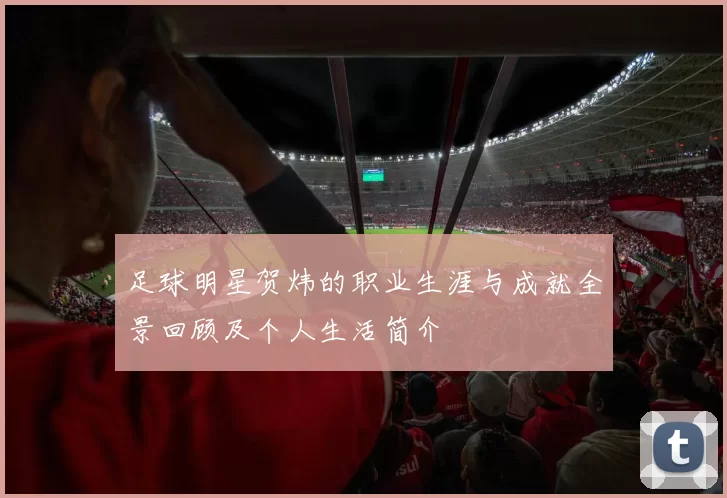 足球明星贺炜的职业生涯与成就全景回顾及个人生活简介