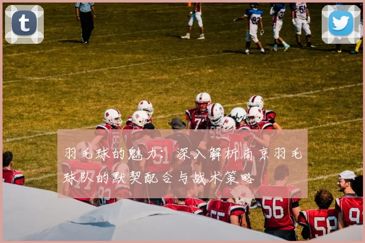羽毛球的魅力：深入解析南京羽毛球队的默契配合与战术策略