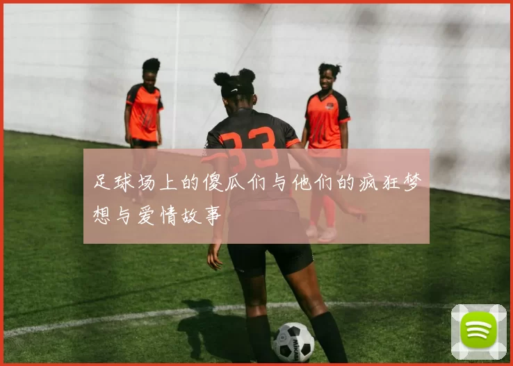 足球场上的傻瓜们与他们的疯狂梦想与爱情故事