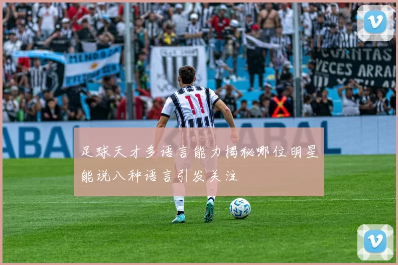 足球天才多语言能力揭秘哪位明星能说八种语言引发关注