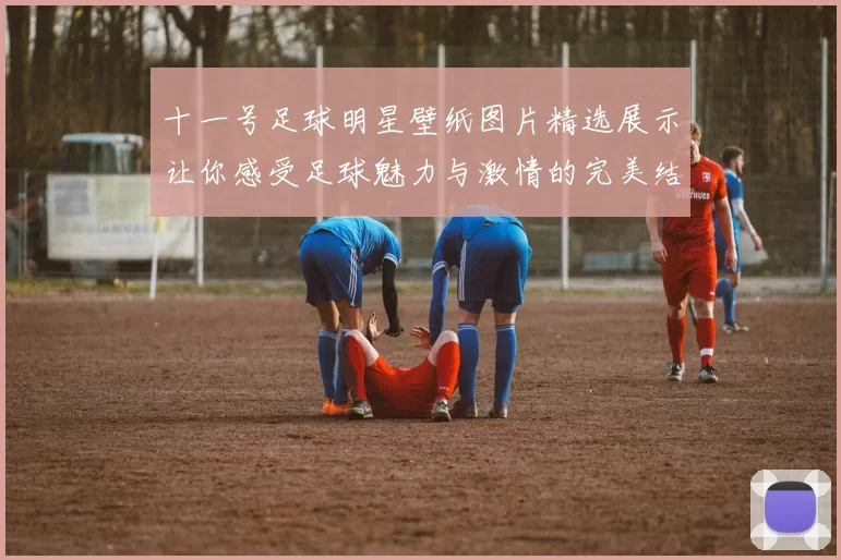 十一号足球明星壁纸图片精选展示让你感受足球魅力与激情的完美结合