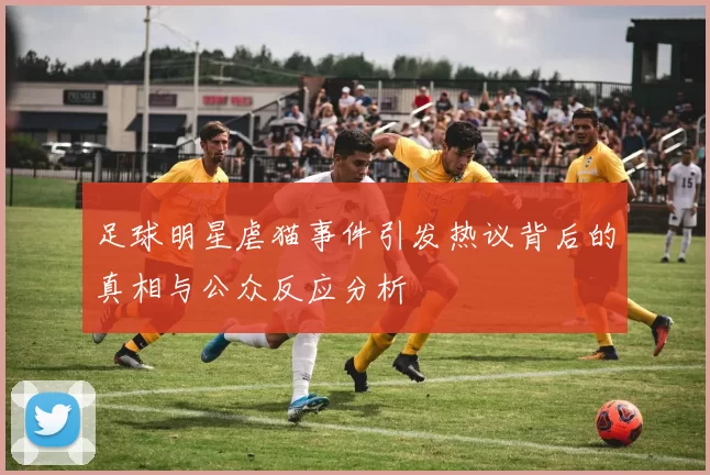 足球明星虐猫事件引发热议背后的真相与公众反应分析