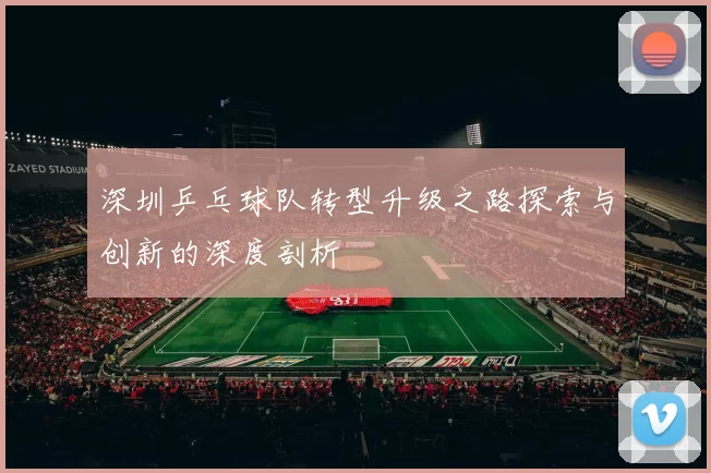 深圳乒乓球队转型升级之路探索与创新的深度剖析