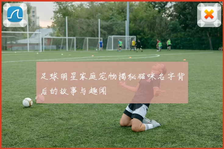 足球明星家庭宠物揭秘猫咪名字背后的故事与趣闻