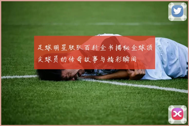 足球明星联队百科全书揭秘全球顶尖球员的传奇故事与精彩瞬间