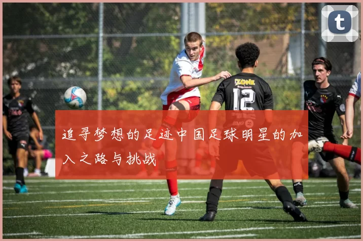 追寻梦想的足迹中国足球明星的加入之路与挑战