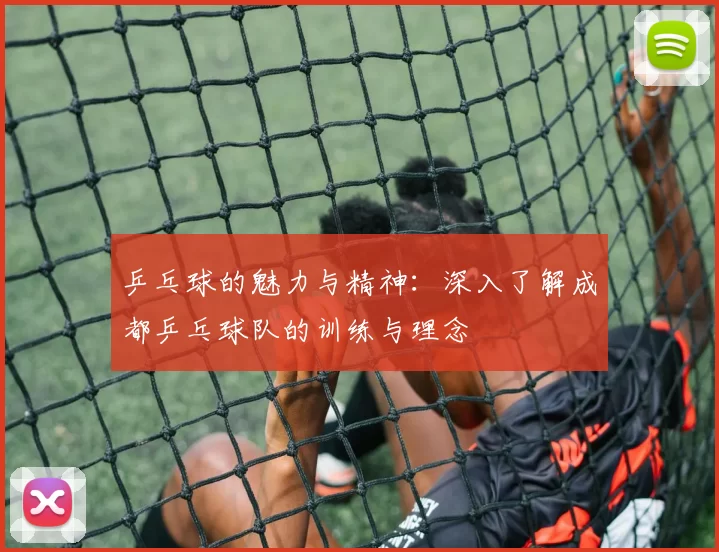乒乓球的魅力与精神：深入了解成都乒乓球队的训练与理念