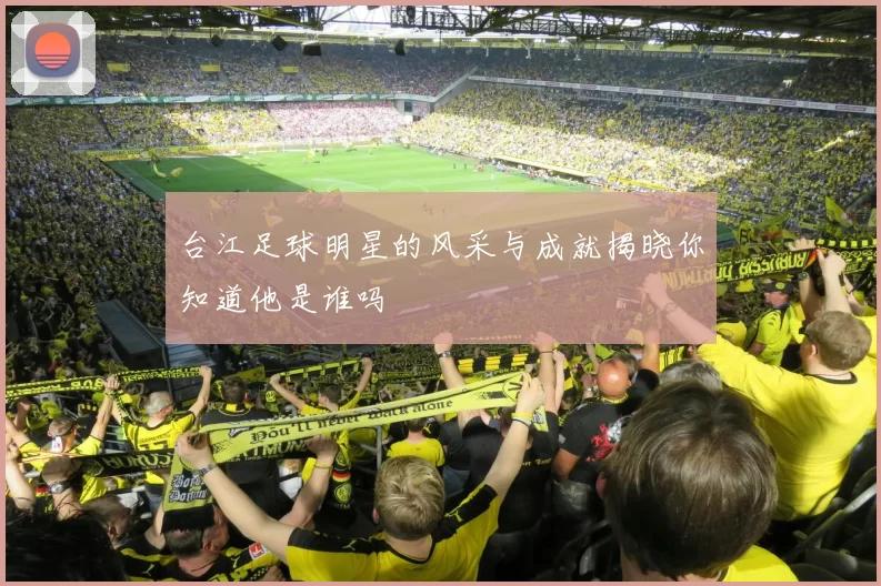 台江足球明星的风采与成就揭晓你知道他是谁吗