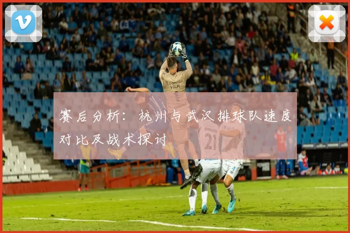 赛后分析：杭州与武汉排球队速度对比及战术探讨