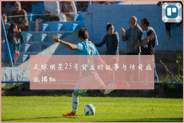 足球明星25号背后的故事与传奇成就揭秘