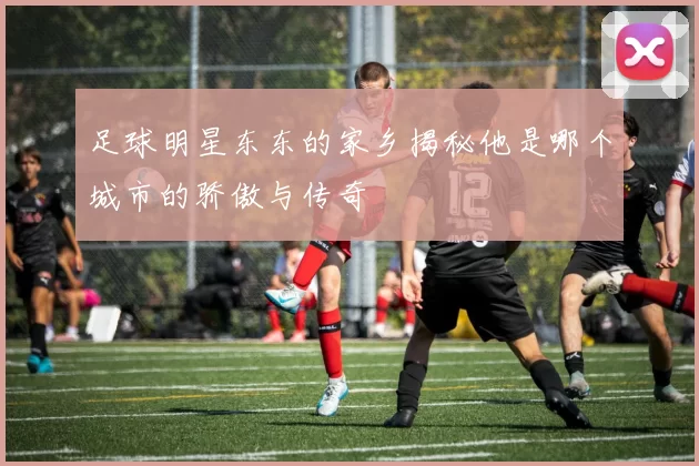 足球明星东东的家乡揭秘他是哪个城市的骄傲与传奇
