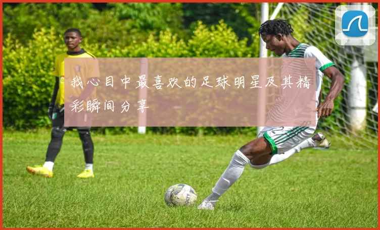 我心目中最喜欢的足球明星及其精彩瞬间分享