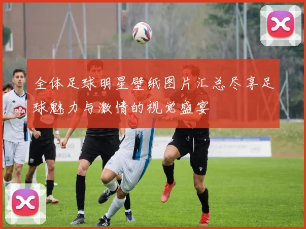 全体足球明星壁纸图片汇总尽享足球魅力与激情的视觉盛宴