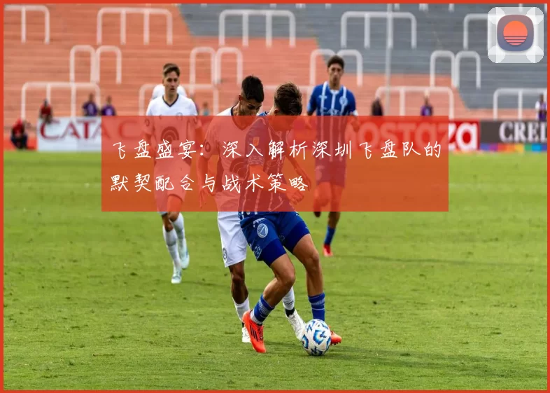 飞盘盛宴：深入解析深圳飞盘队的默契配合与战术策略