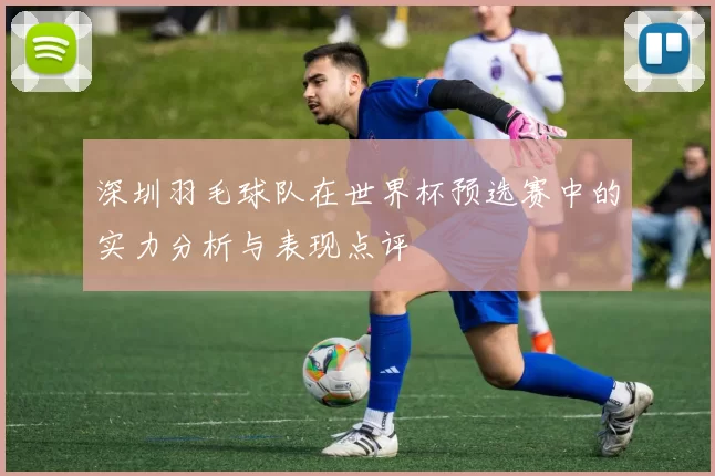 深圳羽毛球队在世界杯预选赛中的实力分析与表现点评